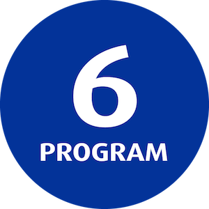 6 programma's