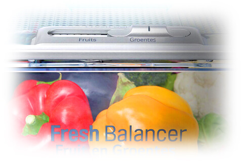 Fresh Balancer - LG GSX960NSVZ