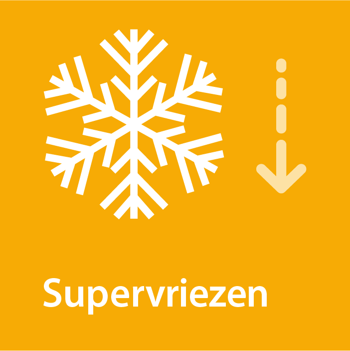Supervriezen - Siemens GI21VAF30